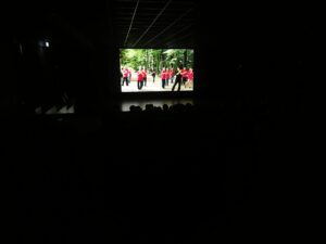 Cinema Parkinson Taiji Centro Pecci 4